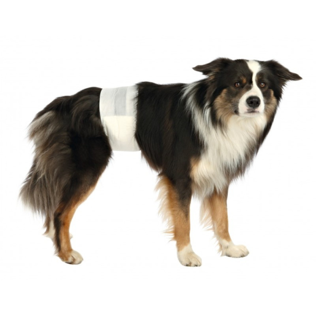 TRIXIE DIAPER FOR MALE DOGS DISPOSABLE ( small to Xlarge)