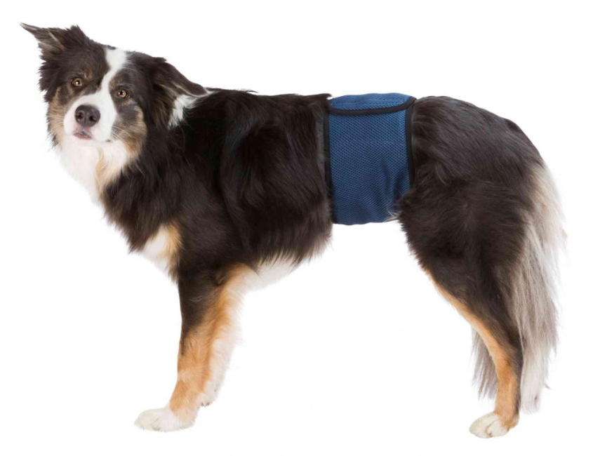 Diapers for male dogs, washable (small to xlrage)