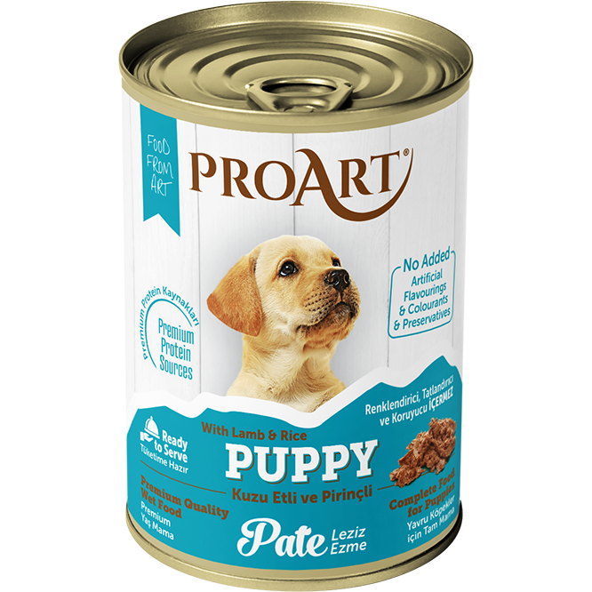 Pro Art Dog Wet Food Pate and Chunks 24 pcs