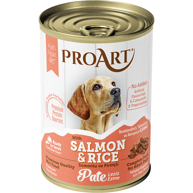 Pro Art Dog Wet Food Pate and Chunks 24 pcs