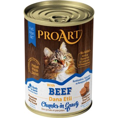 Pro Art Cat Wet Food Pate and Chunks offer 24 pcs