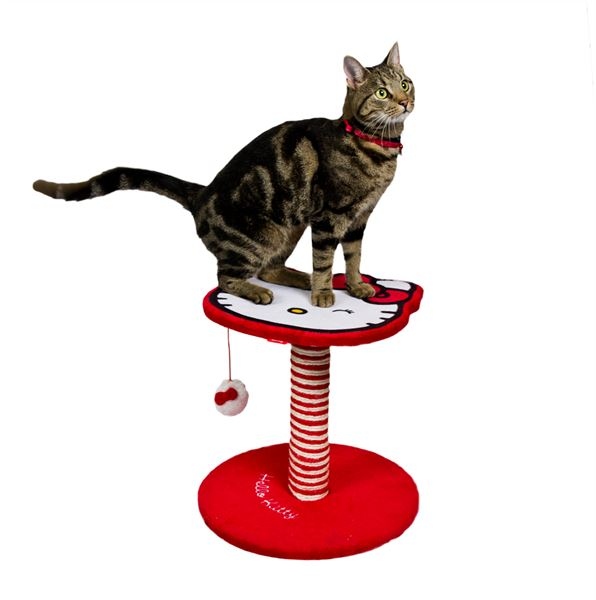 cat scratcher offer 