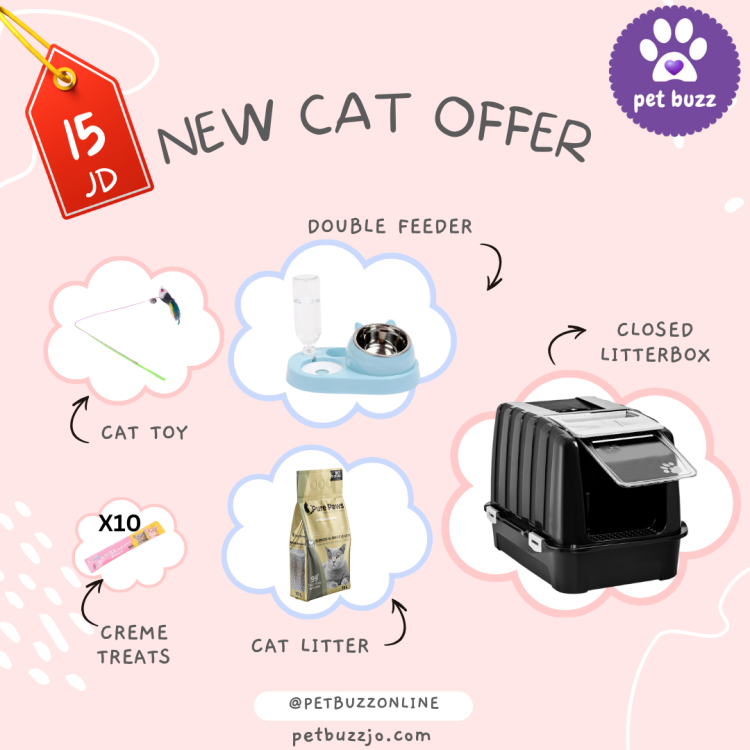 Crazy Cats offer Only 15 jd ( litterbox 52cm, double feeder, cat toy , cat litter and cat treats)