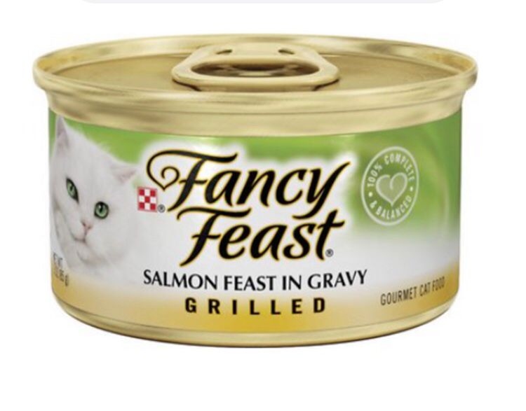 Fancy feast salmon in gravy grilled