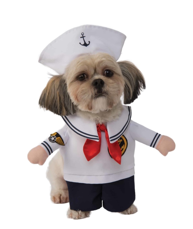 pet clothes many types