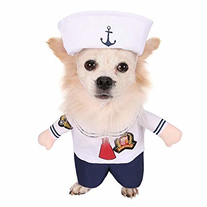 pet clothes many types