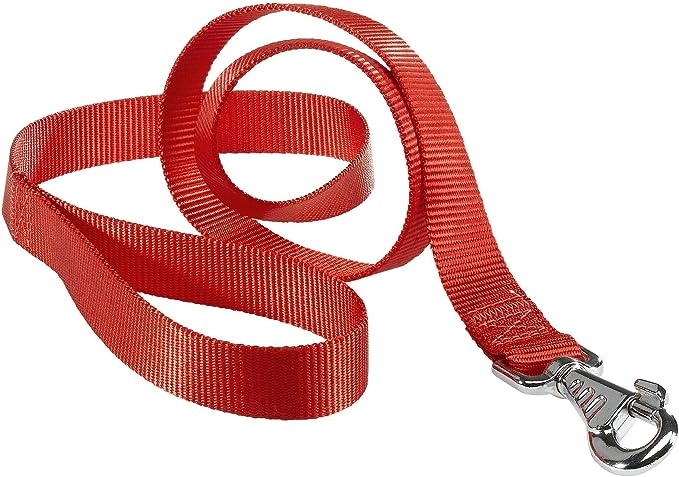 Ferplast Club G25/120 for Dogs 120 cm Width 25 mm Red