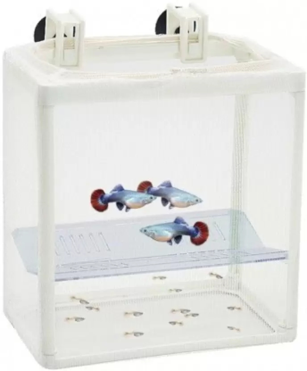 Central Fish Aquarium DOPHIN BREEDING Box BB12 - for Fishes ( Rust Resistant, Pack of One)