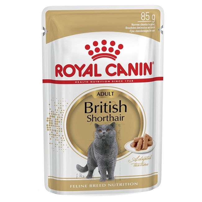 Royal canin British shorthair wet food