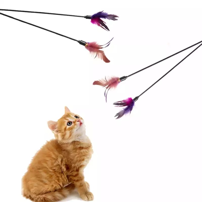 لعبة ريشه للقطط