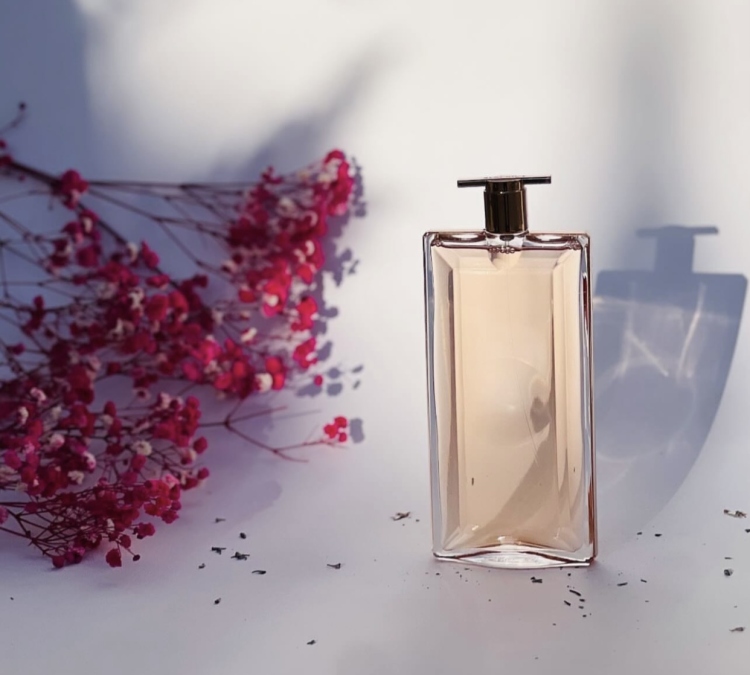 عرض خاص  ٣ عطور تستر بسعر ٢٥ دينار فقط استخدم كود free  لتحصل على توصيل مجانا 