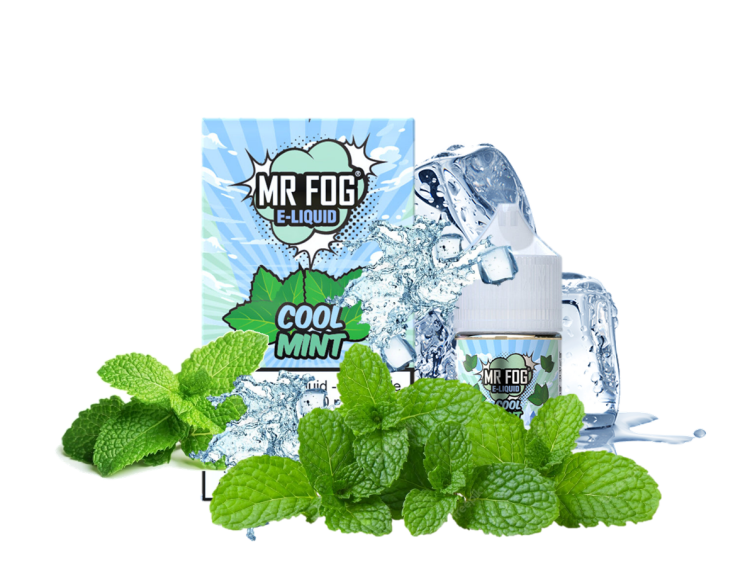 Mr. Fog Ice Mint, Saltnic,  Vape Juice  