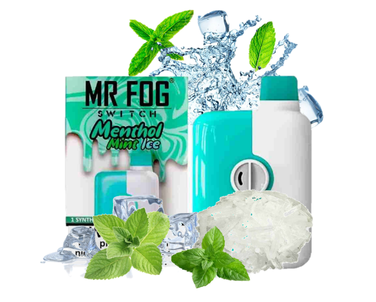 Mr. Fog  Switch Menthol Mint Ice, 5500 Puffs ,Rechargeable, Disposable, Vape Device 