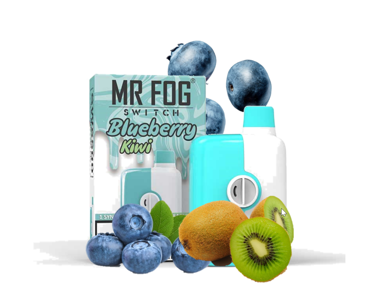 Mr. Fog  Switch Blueberry Kiwi, 5500 Puffs ,Rechargeable, Disposable, Vape Device 