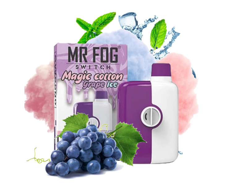 Mr. Fog  Switch Grape Ice 5500 Puffs, Rechargeable, Disposable, Vape Device 