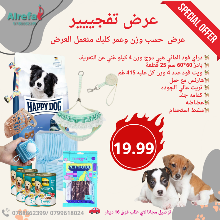 عرض للكلاب جميع الأحجام 