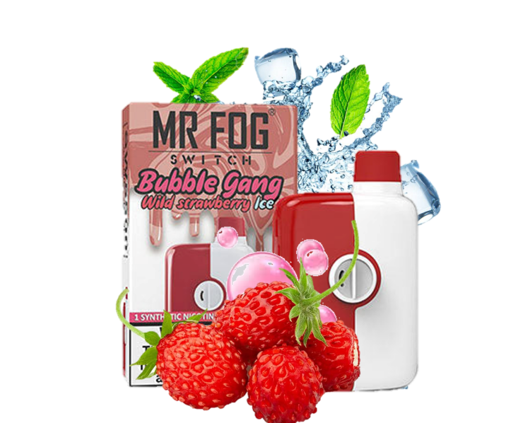 Mr. Fog Switch Wild Strawberry Ice 5500 Puff, Rechargeable, Disposable, Vape Device 