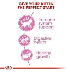 Royal Canin للقطط الصغيرة 