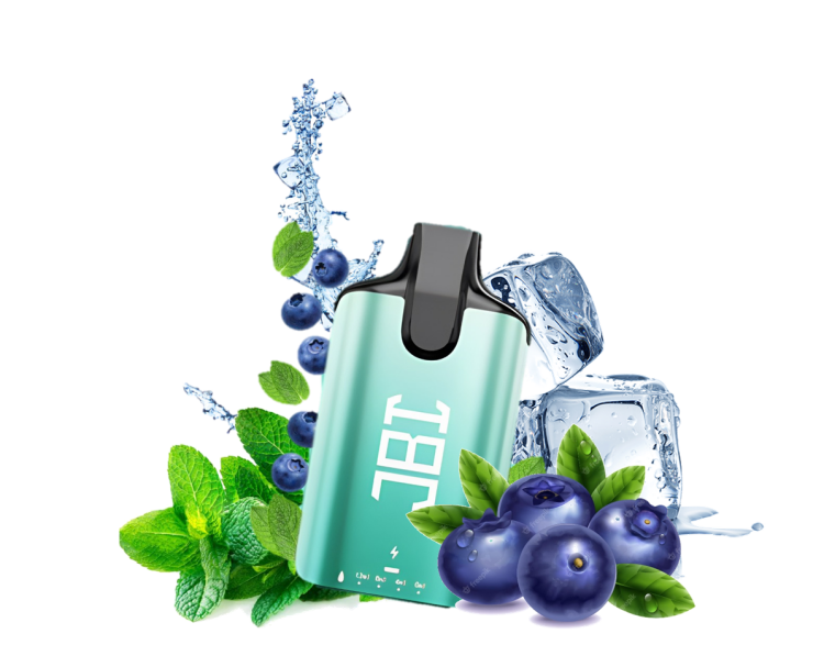 JBI Blueberry Mint Ice, 5000 Puffs, Rechargeable, Disposable Vape 