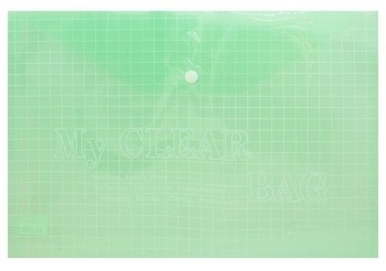 FILE WITH KEY PLASTIC,green