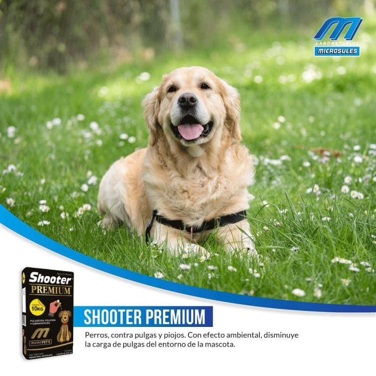Shooter Premium – Laboratorios Microsules for 10 kg