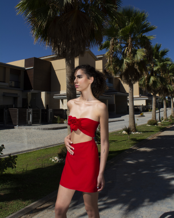 Le Manoir Dress