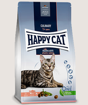 Happy cat culinary 4k