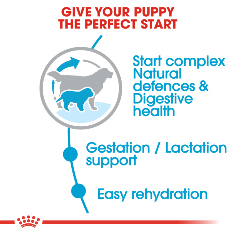 Royal Canin Starter Mother & Baby Dog