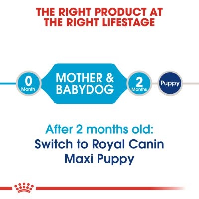 Royal Canin Starter Mother & Baby Dog