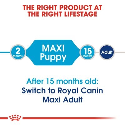 Royal Canin Maxi Puppy