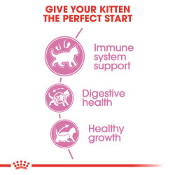 Royal Canin Second Age Kitten