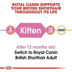 Royal Canin British Shorthair Kitten