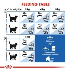 Royal Canin Indoor Dry food