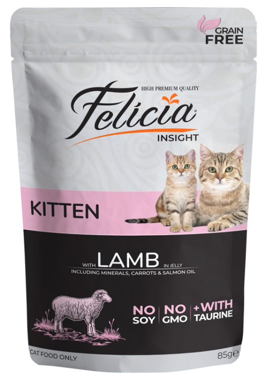 felicia insight kitten lamb