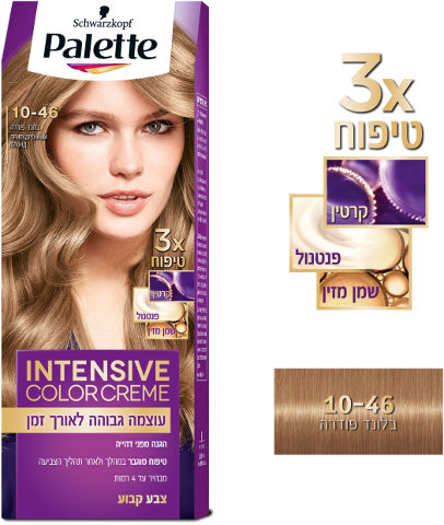 صبغة PALETTE