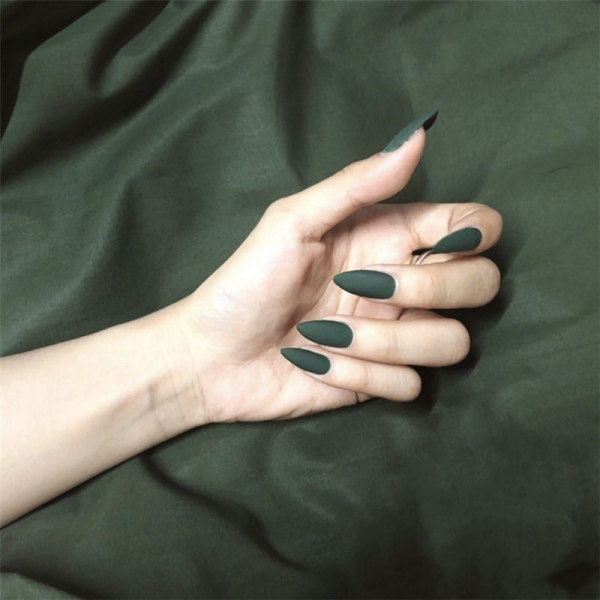 NAIL FAIRY PREMIUM SERIES اظافر تركيب