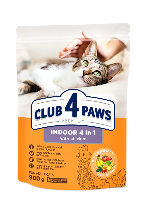 Club 4 paws للقطط داخل المنزل 