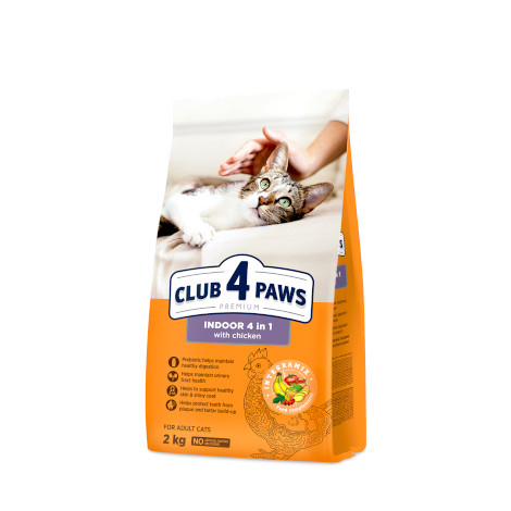 Club 4 paws للقطط داخل المنزل 