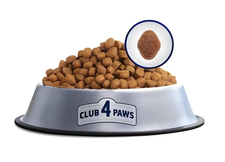 Club 4 paws للقطط داخل المنزل 
