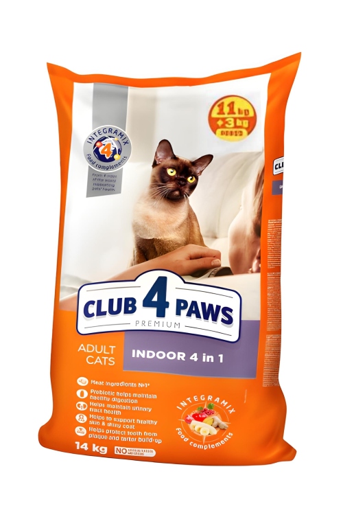 Club 4 paws للقطط داخل المنزل 