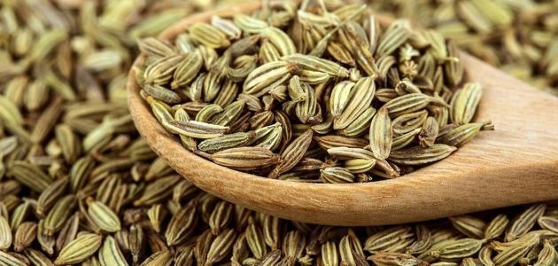 شومر