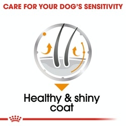 Royal Canin Coat Care Wet Food
