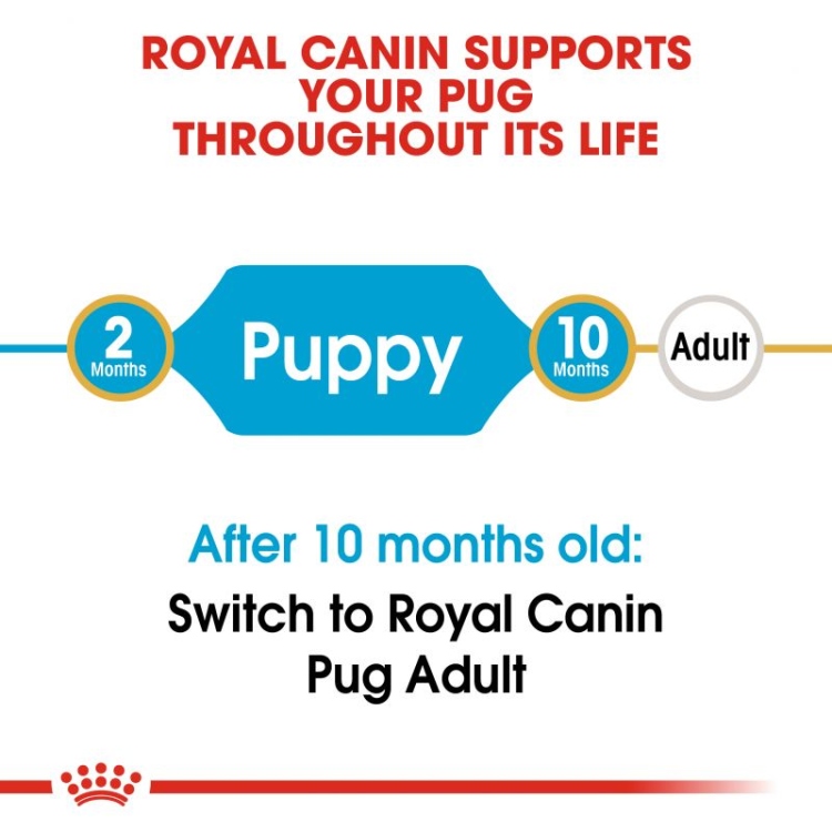 Royal Canin Pug Puppy