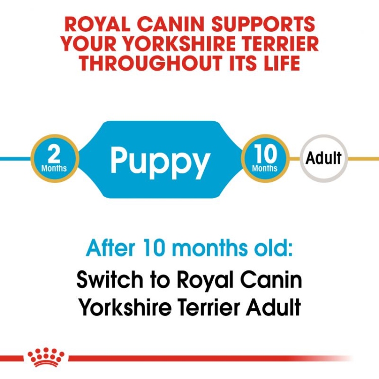 Royal Canin Yorkshire Terrier Puppy