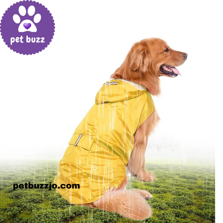 Rain coat for dog big sizes 