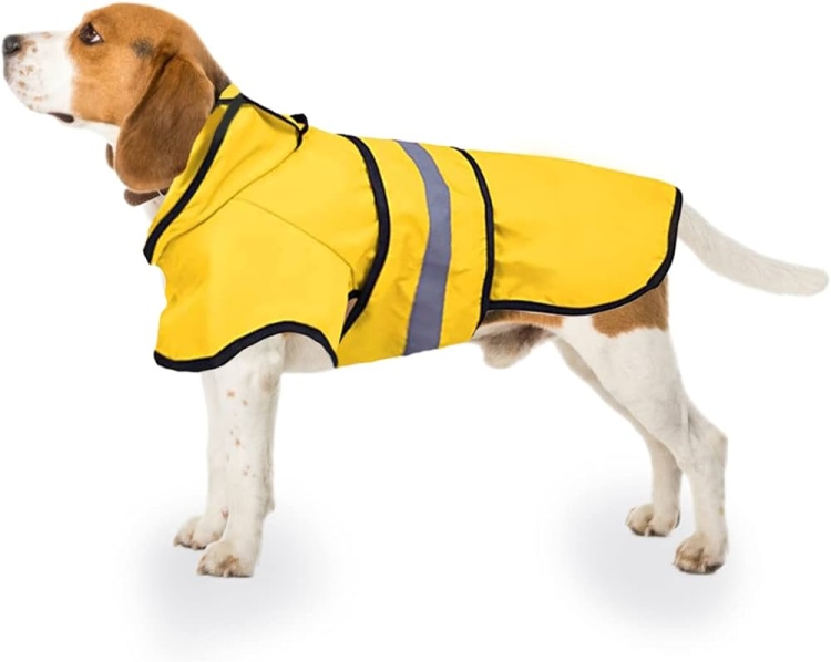 Rain coat for dog big sizes 