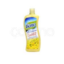 Bono General Freshener Summer Breeze 700 ml