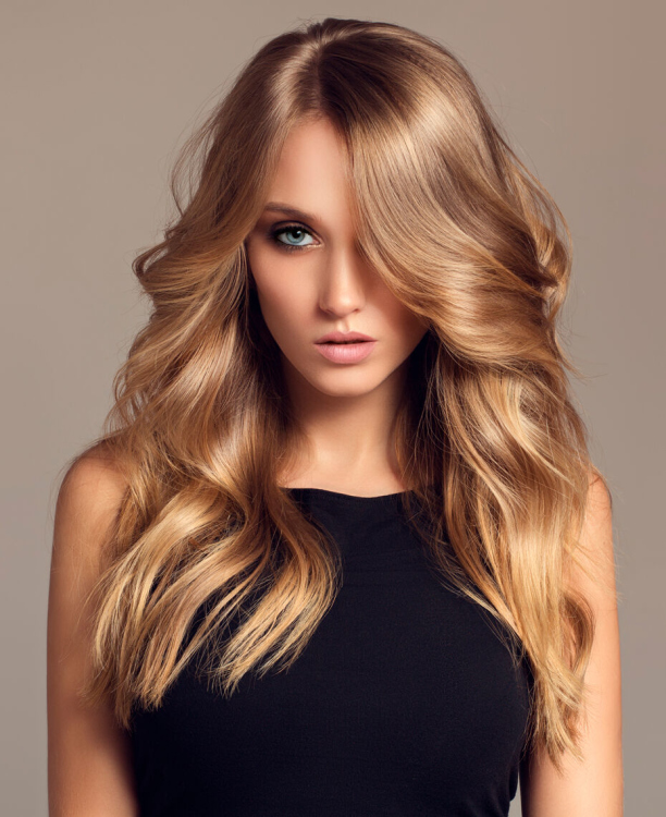 HairX Blow-Drying Brush - 27134
