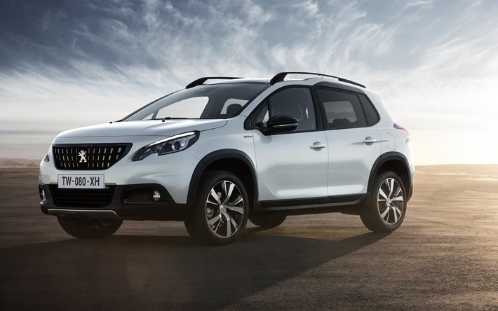 تظليل كريتف بيجو Peugeot 2008 موديل 2013-2018