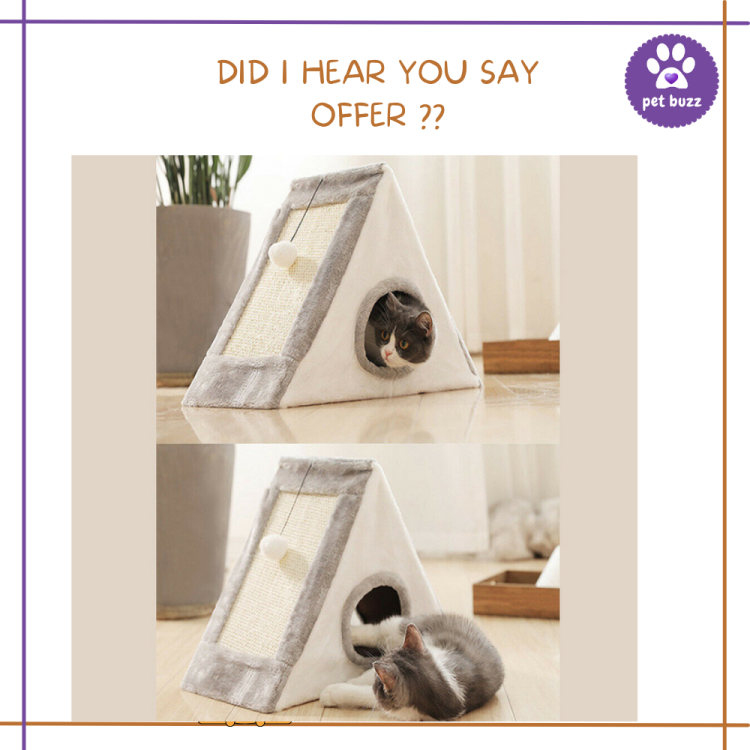 CAT SCRATCHER WITH HOUSE (45*25*36)